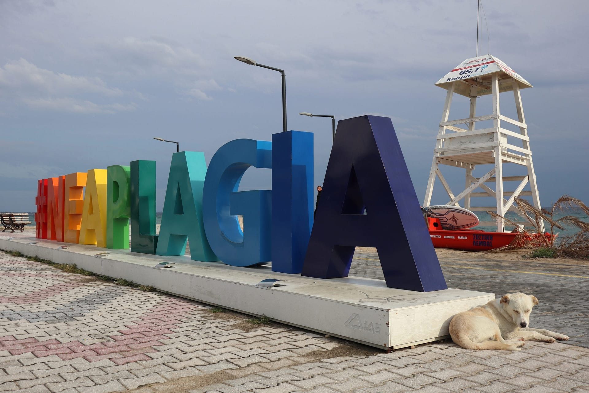 Nea Plagia sign & puppyish dog