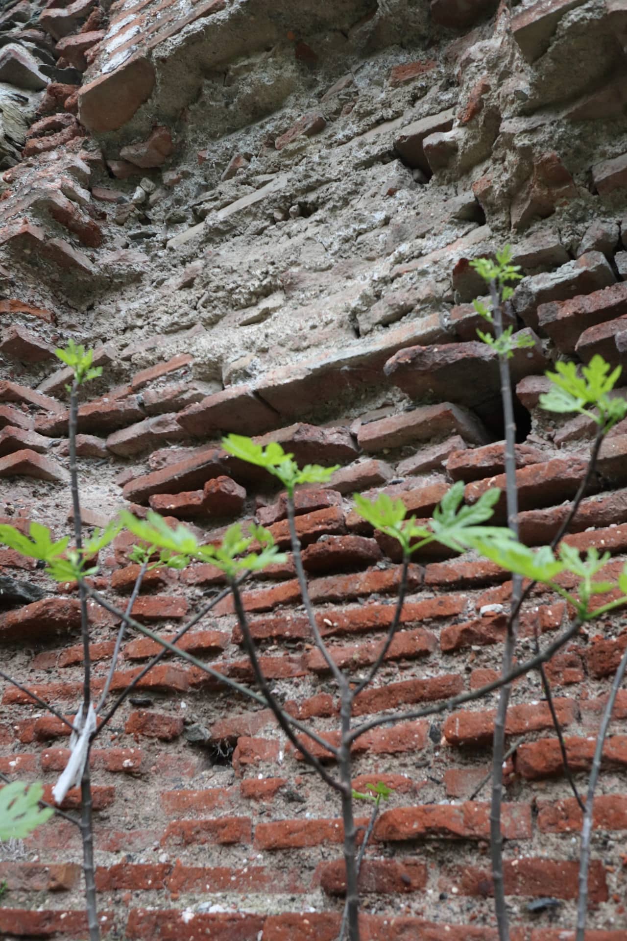 Ottoman walls