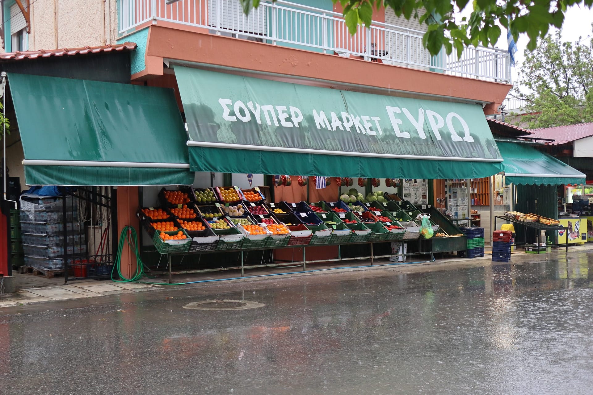 Rain Greengrocer Plagia